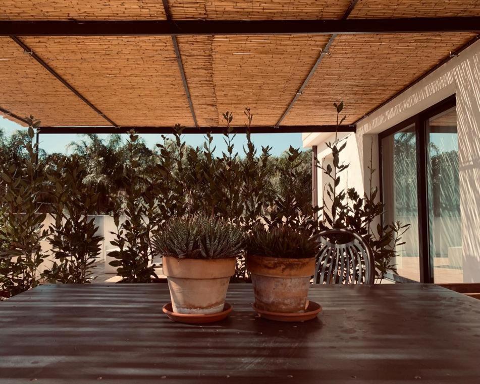 אנלציט Petrasicula Apartment מראה חיצוני תמונה